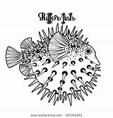 Puffer Fish Coloring Getdrawings Getcolorings Pufferfish Printable Drawing Pages Print Color sketch template