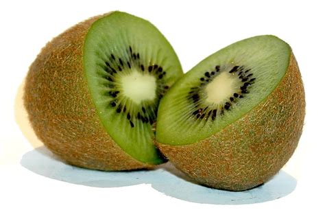 kiwi frucht  stock photo freeimagescom