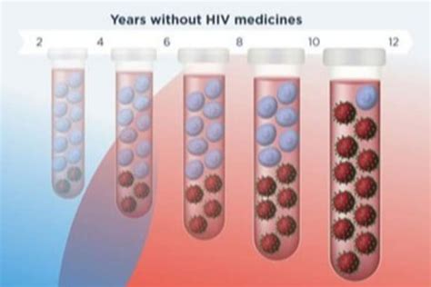 hiv aids basics thebody