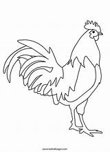 Gallo Colorare Tuttodisegni Roosters Rooster Disegni sketch template