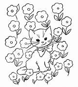 Coloring Pages Cat Printable Choose Board sketch template