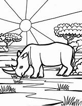 Rinoceronte Colorir Savana Rinocerontes Desenhos Nashorn Ausmalbilder Rinocer Colorat Rhinozeros Ausdrucken Rhinoceros Tudodesenhos Genial Planse Malvorlagen Hipopótamo sketch template