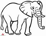 Elephant Outline Clipart Drawing Coloring Face Animals Cartoon Animal Pages African Printable Trunk Simple Cliparts Transparent Paintingvalley Clip Silhouette Drawings sketch template