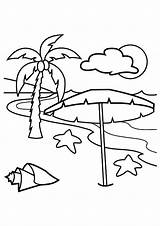 Coloring Coconut Tree Palm Getcolorings sketch template