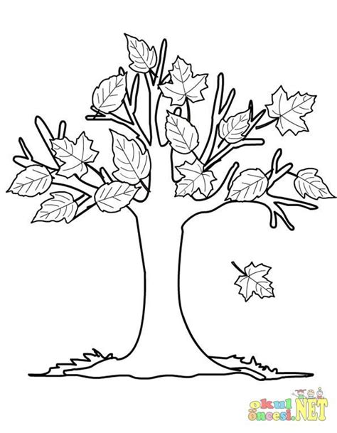 pine trees coloring pages google search baby coloring pages tree