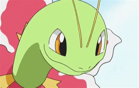 Top 10 Favorite Grass Type Pokemon Pokémon Amino