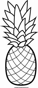Pineapple Coloring Clipart Choose Board sketch template