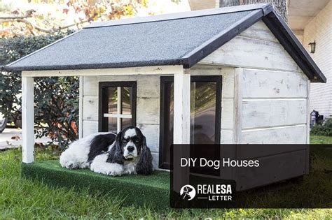 diy dog houses    build easily