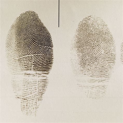 fingerprint definition facts britannica