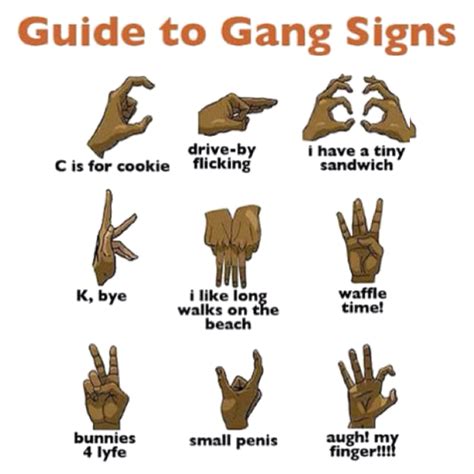 guide  gang signs  real meaning humor  helicopter mom