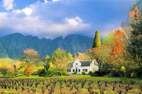 cape winelands  sipping safari lonely planet