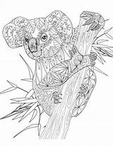 Kleurplaat Kleurplaten Schattige Mandalas Volwassenen Panda Koala Malvorlagen Moeilijk Tiere Printen Possum Omnilabo Barbara Wildlife Pixel Downloaden Bezoeken Erwachsene sketch template