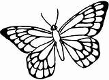 Borboletas Butterfly Desenho sketch template
