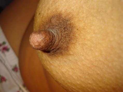 indian hairy pussy indian sex photos