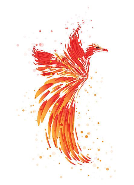 phoenix bird clip art vector images illustrations istock