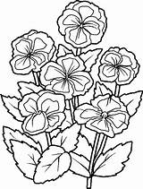 Coloring Flowers Pages Flower Nature Color sketch template