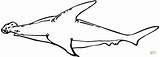 Shark Outline Hammerhead Basking Clipart Clipartmag sketch template