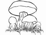 Champignon Champignons Mushroom Imprimer Dessiner Coloriages Cueilleurs Professionnels Automne Joyeux Visages Arouisse sketch template