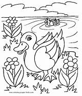 Coloring Pages Ducks Color Animal Duck Printable Sheets Pond Kids Found sketch template