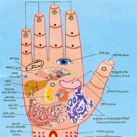 acupressure points full body tips therapy app for android