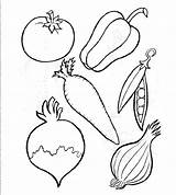 Coloring Vegetables Fruits Pages Clipart Print Library sketch template