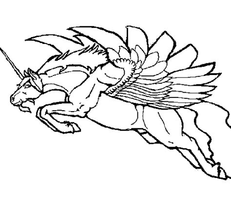 winged unicorn coloring page coloringcrewcom