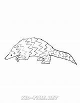 Pangolin Coloring Animals Book Skip Pages sketch template