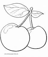 Cerezas Kirschen Vegetable Frutas Cherries Drus Pintar Moldes Mariposas Limones Frutillas Uvas Granadas Simple Visit sketch template