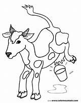 Cow Angus Drawing Coloring Cattle Getdrawings Pages sketch template