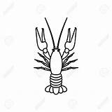 Crawfish Outline Drawing Clipart Boiled Style Icon Getdrawings Pngtree Vector Clipartmag sketch template