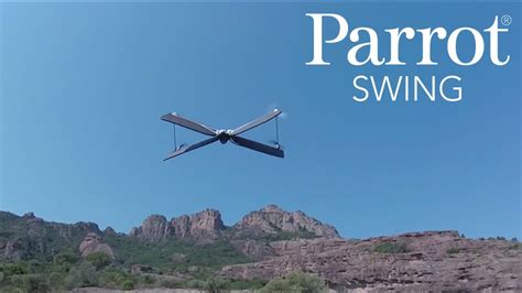 parrot swing official video youtube