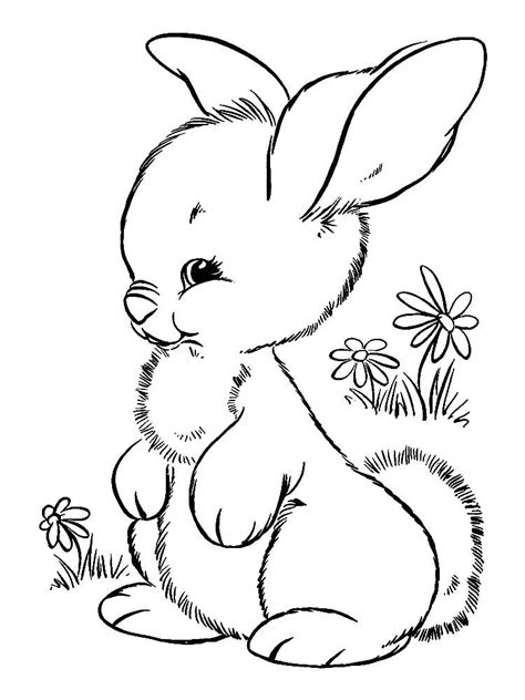 bunny colouring pages bunny coloring pages animal coloring pages