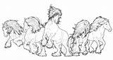 Herd Vanner Pferde Adults Pegasus Friesian Volwassenen Caro sketch template