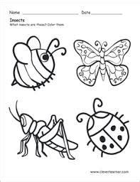 image result  insects worksheet  preschool  images insects preschool preschool