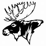 Moose Elk Antlers Sticker Antler Horn Vinyl Popular Clipartmag sketch template