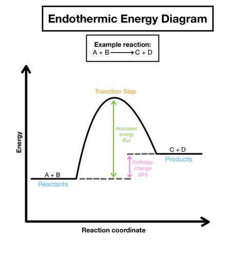 endothermic diagram  labels