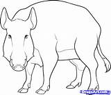 Wild Boar Hog Coloring Drawing Pages Sanglier Dessin Draw Printable Big Step Getcolorings Imprimer Outlines Pixels Drawn Many Color Tableau sketch template