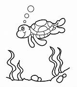 Turtle Coloring Pages Crush sketch template