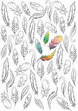 Coloring Feather Boho Adult sketch template