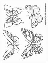 Printable Butterflies Butterfly Coloring Template Pages Firstpalette Shapes Templates Pattern Set Outline Flower 3d Choose Board Crafts sketch template