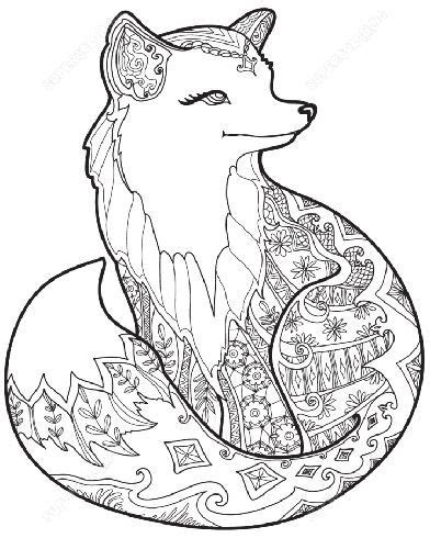 printable animal colouring pages  kids fox coloring page