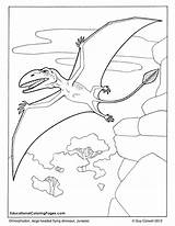 Coloring Dinosaur Pages Dimorphodon Dinosaurs Flying Kids Colouring Book Realistic Printable Adult Color Books Au Colouringpages Jurassic Two Animal Coloriage sketch template