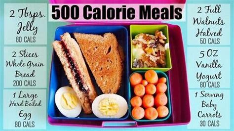 the calorie a day diet plan menu results and success stories