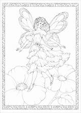 Enchanted Coloring Fairies Book Haven Creative sketch template