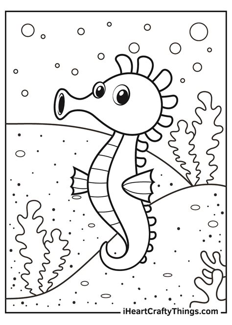 seahorse coloring pages updated