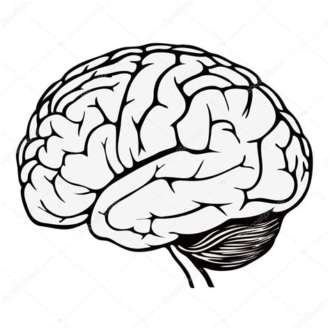 lovely brain coloring page