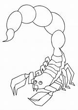 Scorpion Coloring Deathstalker Pages Printable Categories Books Popular sketch template