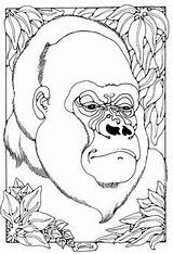 Coloring Sheets Pages Gorilla Browne Anthony Tattoos Ship Themes Animal Printable Books Zoo Koko Colouring sketch template