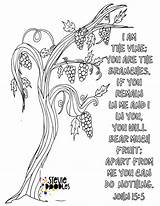 Coloring Pages John God Experiencing Printable Unit Vine Kids Branches Inspired Above Click Bible sketch template