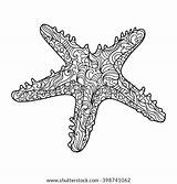Coloring Starfish Vector Zentangle sketch template